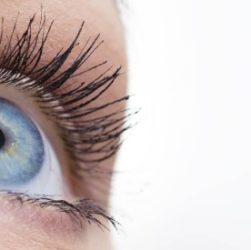 Oeil
