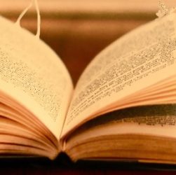Livre qui s'envole