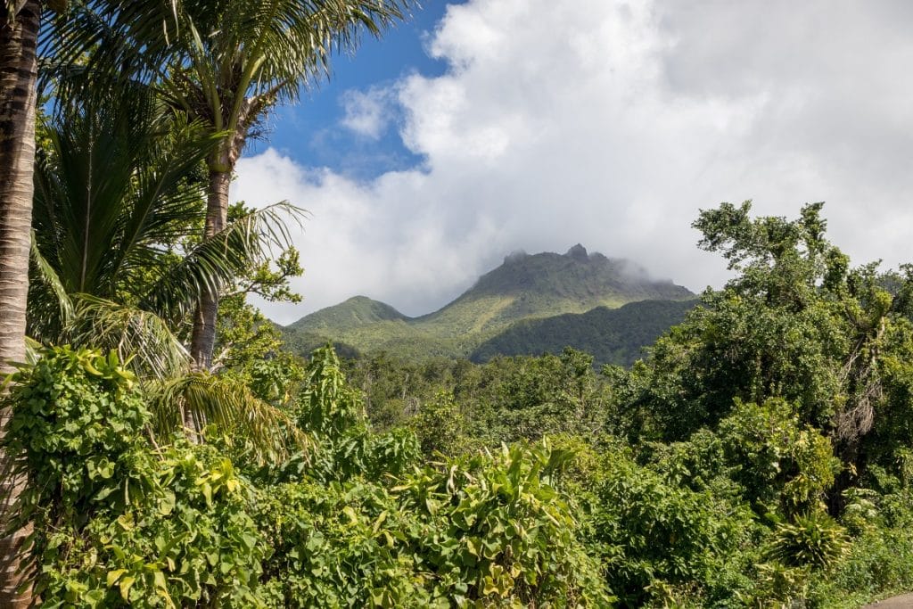 Les meilleures activités à faire en Basse-Terre en Famille